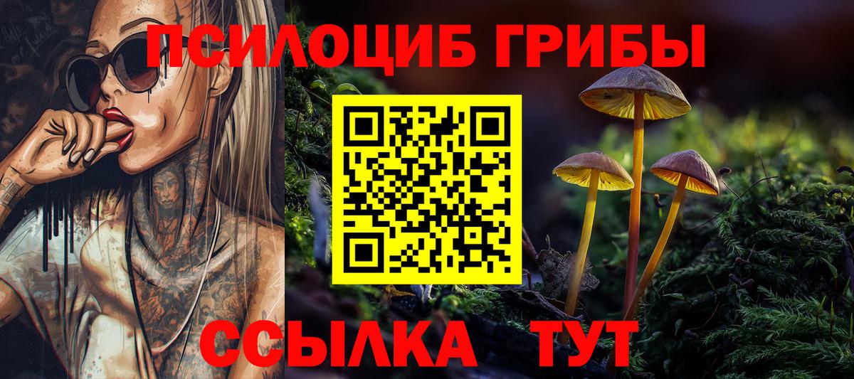 Галлюциногенные грибы Psilocybine cubensis  Вход с VPN  Минусинск 